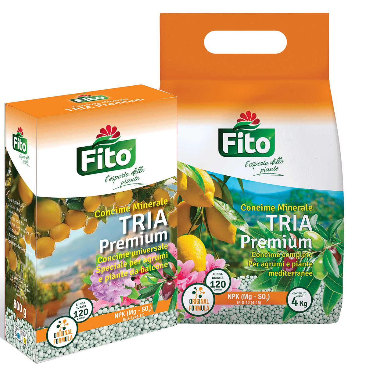 X212900_X212901_TriaPremium2025 X212900 X212901 TriaPremium2025