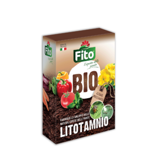 Litotamnio