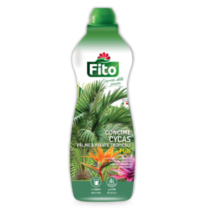 Concime Cycas, plame e piante tropicali